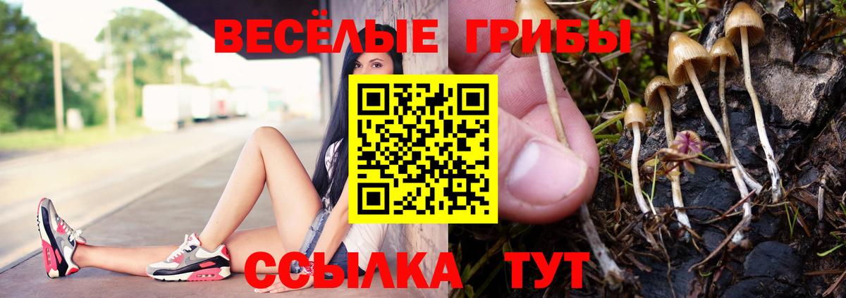 Псилоцибиновые грибы Psilocybine cubensis  сколько стоит  Ступино  Вход с VPN 